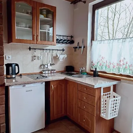 Lemkowska Izba Apartment *